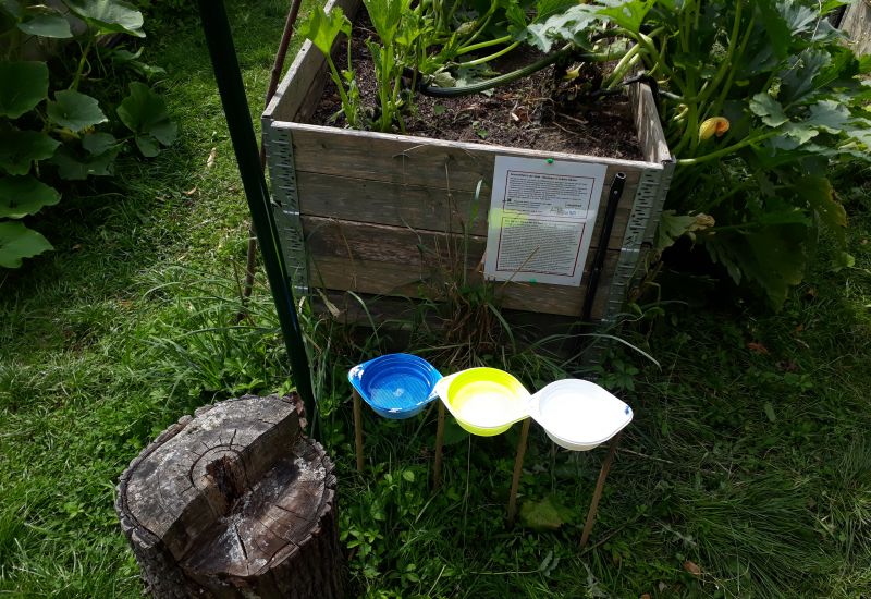 Ein blaue, eine gelbe und eine weiße Schale mit Seifenwasser darin stehen in einem Garten