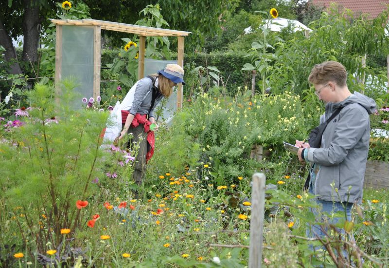 Zwei Frauen erfassen Wildbienen in einem Garten