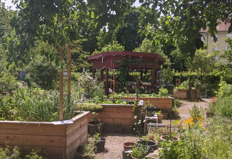 Pflanzen in Beeten und Hochbeeten im Gemeinschaftsgarten IG Feuerwache