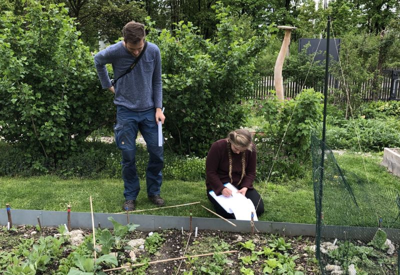 Zwei Menschen schauen in ein Beet um Pflanzen zu bestimmen